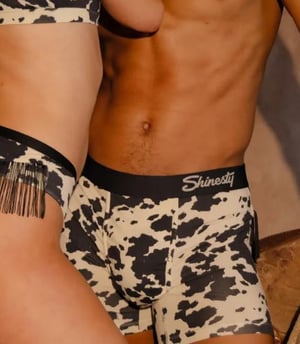 Shinesty-Case-Study-480x551